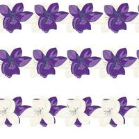 motif de doodle sans couture de nature abstraite avec des formes de fleurs de contour violet. fond blanc. vecteur