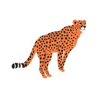 graphique de portrait de chat guépard sauvage tacheté vecteur
