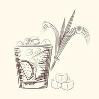 dessiner à la main des feuilles de canne. cocktail d'alcool en verre, tige de plante sucrière et cubes. vecteur