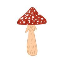 agaric tue-mouche isolé sur fond blanc. croquis de champignon abstrait dessiné à la main. vecteur