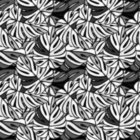 modèle sans couture de jungle monochrome. plante exotique. feuilles de palmier tropical fond floral. vecteur