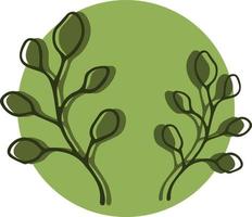 illustration de style écologique avec deux brindilles à base de plantes aux couleurs vertes. concept de design pour logo, carte de voeux, décoration murale, couverture. art minimaliste de vecteur. vecteur