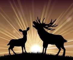 silhouette un kangourou et un cerf debout dans le crépuscule lumineux vecteur