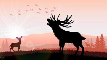 silhouette un cerf et un kangourou l'alimentation au coucher du soleil vecteur