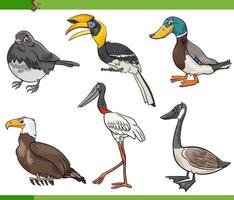 jeu de caractères d'animaux d'espèces d'oiseaux de dessin animé drôle vecteur