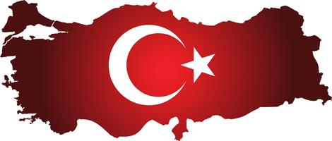 Carte de la Turquie avec drapeau. drapeau carte turquie pays sur fond numérique. Vecteur. vecteur