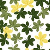 motif botanique harmonieux avec imprimé aléatoire de fleurs de scheffle vert et jaune. fond blanc. vecteur