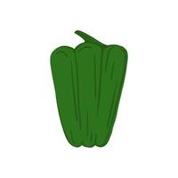 poivron vert isolé sur fond blanc. légume paprika dessiné à la main. vecteur