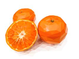 Orange, l&#39;un des fruits chinois de bon augure vecteur