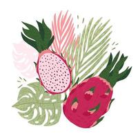 composition fruit du dragon avec des feuilles tropicales sur fond blanc. fruit du dragon botanique abstrait, palmier, vert monstère et couleur rose dans un style doodle. vecteur