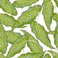 modèle sans couture de feuilles de palmier tropical. papier peint botanique de feuilles de jungle. vecteur
