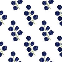 motif isolé sans couture avec des formes de mûres bleu marine doodle. fond blanc. vecteur