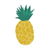 ananas dans un style dessiné à la main isolé sur fond blanc. vecteur