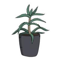 aloe arborescens dans un style doodle. dessin animé mignon krantz aloès. illustration de vecteur coloré isolé sur fond blanc