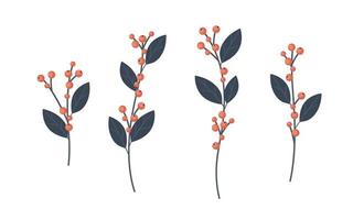 collection de branches de houx, illustration vectorielle de décoration d'hiver ilex dans un style plat vecteur
