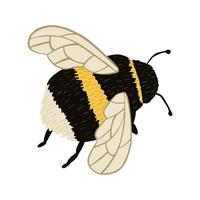 bourdon isolé sur fond blanc. insecte abstrait pour la pollinisation en noir et jaune dans un style doodle. vecteur