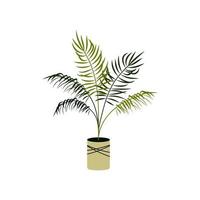 illustration vectorielle d'un palmier dattier en pot isolé sur blanc. plante d'intérieur dans un pot. élément de design d'intérieur. vecteur