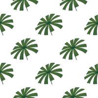 modèle sans couture botanique isolé avec ornement licuala de palmier vert. fond blanc. style simple. vecteur