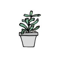 impression de doodle succulente. plantes d'intérieur dans un pot de fleurs moderne vecteur