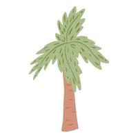 palmier isolé sur fond blanc. arbre tropical abstrait dans un style doodle. vecteur