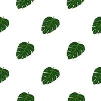 motif harmonieux de botanique isolé avec des silhouettes de feuilles de monstera tropique doodle vert. fond blanc. vecteur