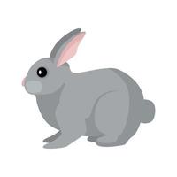 lapin mignon isolé sur fond blanc dans un style plat. couleur grise de lapin de personnage de dessin animé drôle. vecteur