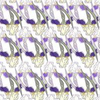 motif nature sans couture avec des formes décoratives de fleurs d'iris violet. imprimé floral botanuc isolé. vecteur