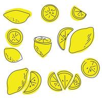 ensemble de citrons de contour doodle sur une tache colorée, agrumes juteux jaunes entiers, moitiés et tranches pour la conception vecteur