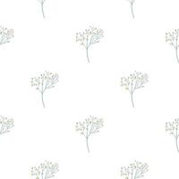 modèle sans couture botanique isolé avec ornement de gypsophile doodle. imprimé floral sur fond blanc. vecteur