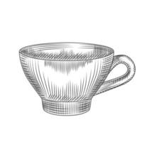 tasse de thé dessinée à la main isolée sur fond blanc. gravure de style vintage. vecteur