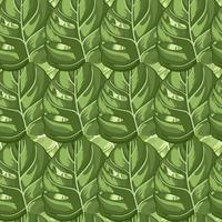 modèle sans couture tropical sur fond de feuilles claires. décoration de texture abstraite avec feuille de monstera de couleur verte réelle. vecteur