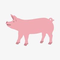 illustration vectorielle simple d'un cochon isolé sur fond blanc. illustration d'animal domestique de dessin animé vecteur
