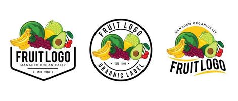 conception de modèle de logo de fruits vecteur