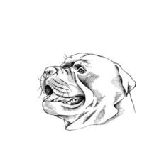 visage de chien de dessin animé vecteur