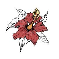grande fleur d'hibiscus. vecteur