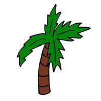 dessin animé doodle palmier linéaire isolé sur fond blanc. vecteur
