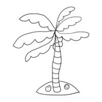 dessin animé mignon doodle palmier linéaire isolé sur fond blanc. croquis d'arbre exotique. vecteur