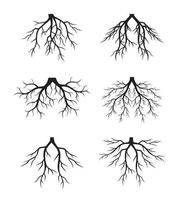 les racines des arbres. fichiers vectoriels. illustration de contour de vecteur. planter dans le jardin. vecteur