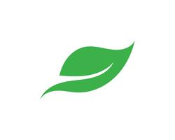 Logos de l&#39;écologie des feuilles d&#39;arbres verts vecteur