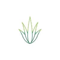 modèle d'illustration vectorielle logo aloe vera vecteur