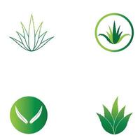 modèle d'illustration vectorielle logo aloe vera vecteur