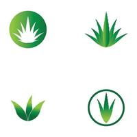 modèle d'illustration vectorielle logo aloe vera vecteur