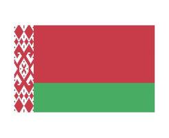biélorussie drapeau national europe emblème symbole icône illustration vectorielle élément de conception abstraite vecteur