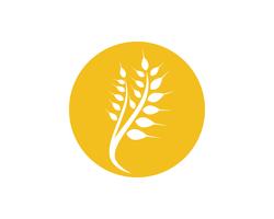 Blé de l&#39;agriculture Logo Template vector icon design
