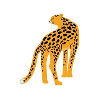 dessin animé léopard guépard africain isolé vecteur