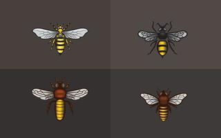 illustration vectorielle de miel d'abeille pour logo vecteur
