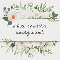 cadre de couronne de bouquet de fleurs de camélia blanc fond de style plat pour bannière ou invitation de mariage vecteur