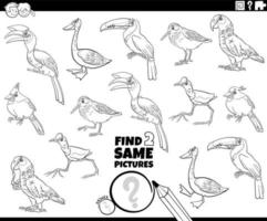trouver deux mêmes oiseaux comiques tâche page de livre de coloriage vecteur