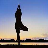 Lady silhouette image dans la posture du yoga. vecteur