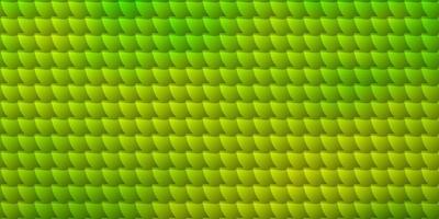 modèle vectoriel vert clair avec des rectangles.